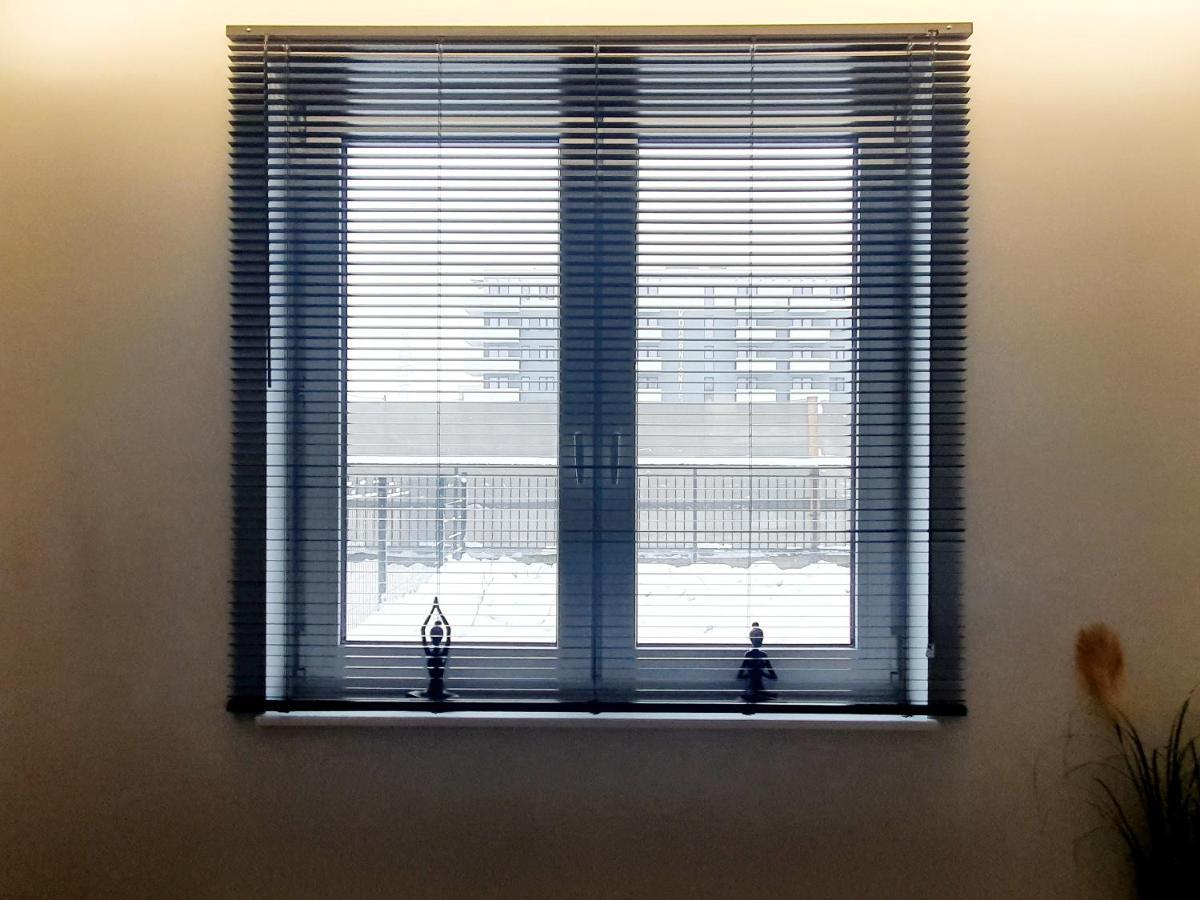 Konopnickiej 88 Cosy Apartment Сосновец Екстериор снимка