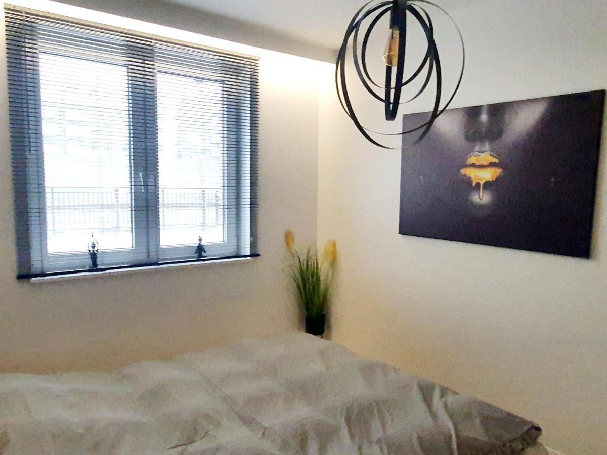 Konopnickiej 88 Cosy Apartment Сосновец Екстериор снимка